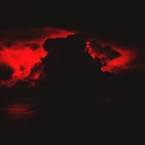 Meet your Posher, Connor